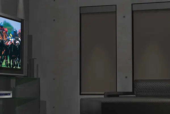 Lutron Blackout Blind
